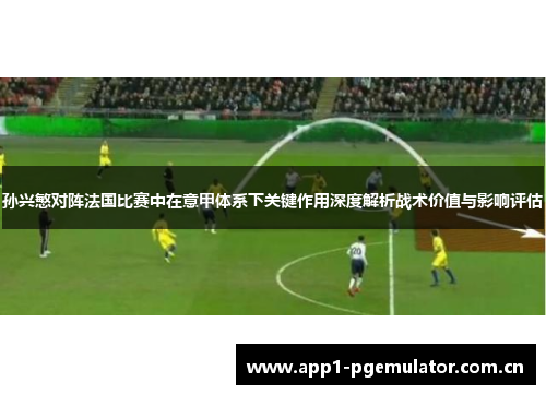 孙兴慜对阵法国比赛中在意甲体系下关键作用深度解析战术价值与影响评估